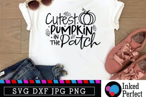 Cutest Pumpkin in the Patch Review